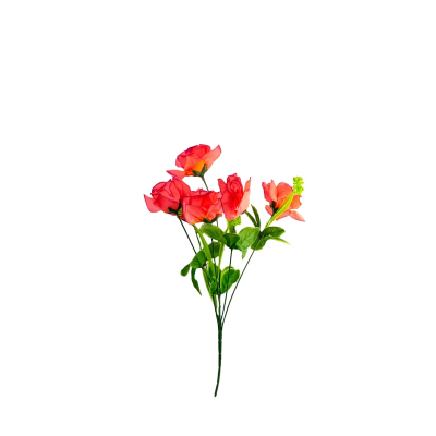 61240.jpg