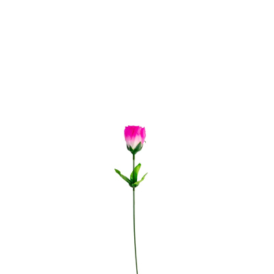55967.jpg