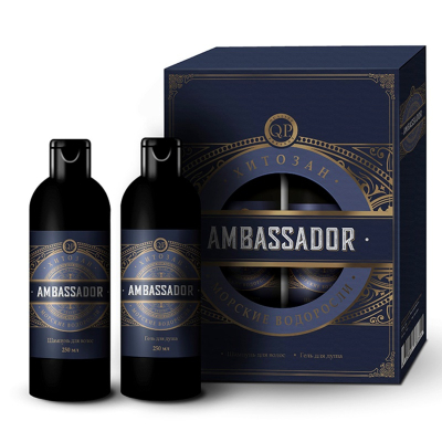 Подарочный набор мужской Q.P. Ambassador Dark №1120 (шампунь 250мл + гель для душа 250мл)