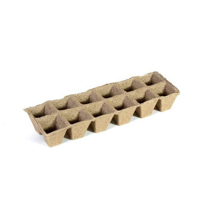 45491.jpg