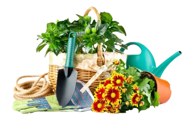 Товары для дома и дачи ! Товары для дома и дачи !